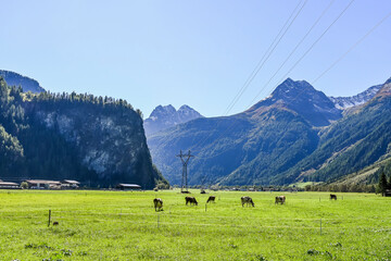 Längenfeld, Ötztal, Ötztaler Ache, Fluss, Uferweg, Granatenkogel, Wanderweg, Tal, Tirol, Berge, Wald, Landwirtschaft, Sölden, Herbst, Spätsommer, Österreich