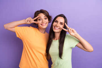 Photo of pretty shiny girls dressed t-shirts looking showing v-signs cover eyes isolated purple color background