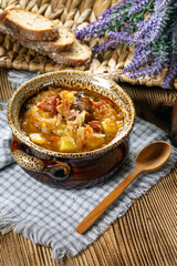 Traditional russian sour cabbage soup