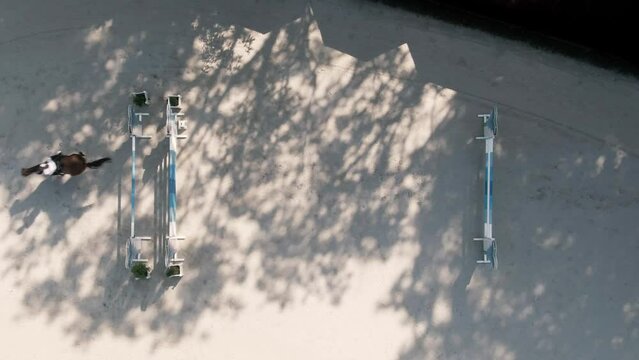 Horse Jumping Competition from above