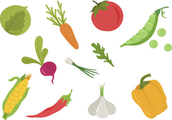 Vegetables set in doodle style. Organic Products. Healthy food