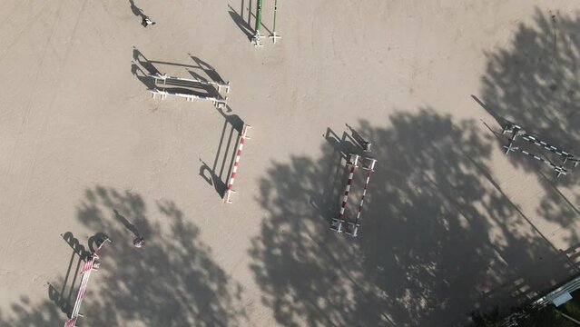 Horse Jumping Compitition Equestrian