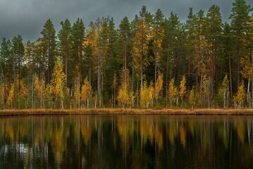 Forest lake in Scandinavia. Autumn landscape of northern forests.