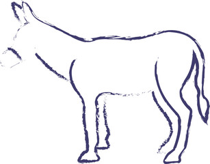 Donkey hand drawn vector illustration