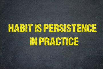 habit is persistence in practice	 - obrazy, fototapety, plakaty