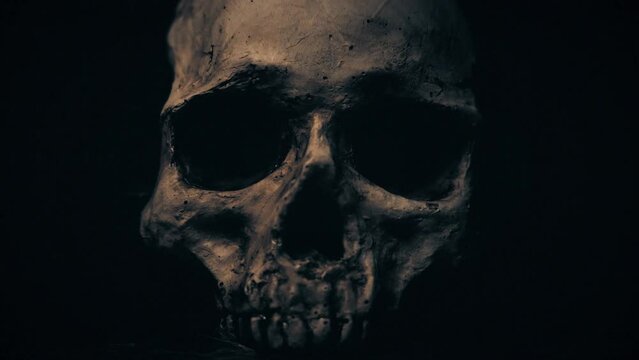 Scary Realistic Halloween Skull Loop