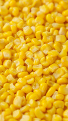 Heap of canned corn, top view