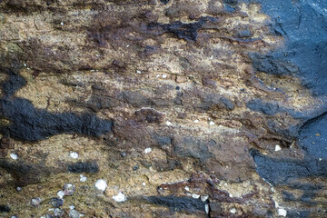 the beauty of the stone texture