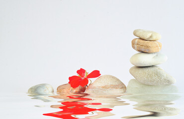 spa stones with red flower on white background, meditation,harmony,yoga wellness concept,free copy space - 658189372
