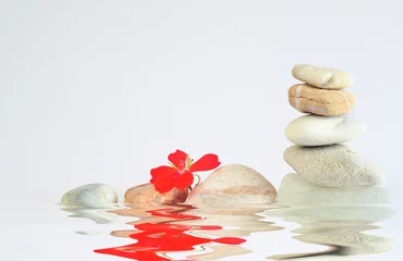 Fotobehang spa stones with red flower on white background, meditation,harmony,yoga wellness concept,free copy space © Kirsten Hinte