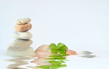 Gordijnen spa stones with green leaf on white background, meditation,harmony,yoga wellness concept,free copy space © Kirsten Hinte