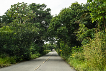 Green and dense forest on both sides of an asphalt road that connects two Brazilian cities.