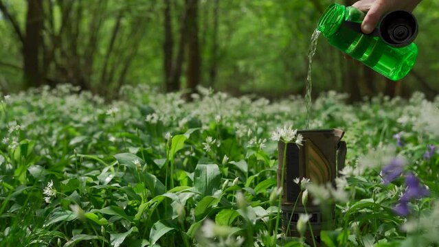 Beautiful woodland scene with a hand pouring water into a cup above wild garlic to make tea