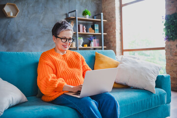 Portrait of cheerful satisfied aged person sit comfy sofa use netbook coworking write email modern...