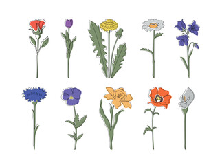 A set in which a rose, a tulip, a dandelion, a calla lily, a chamomile, a bell, a cornflower, a violet, a narcissus, a poppy with a black outline with abstract spots are painted in the style of a lina © KudrLiz