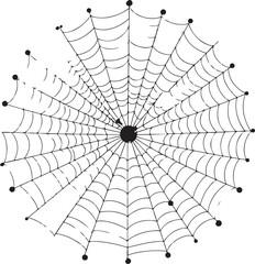 Vector illustration of cobweb isolated on white background spider web vector halloween element 