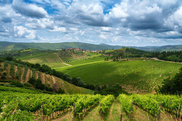 Vineyards of Chianti near Gaiole, Siena province - obrazy, fototapety, plakaty