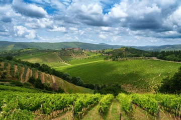 Papier Peint photo autocollant Toscane Vineyards of Chianti near Gaiole, Siena province
