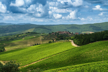 Vineyards of Chianti near Gaiole, Siena province