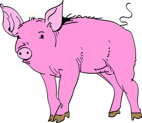 Drawing of a pink piggy on a white background. Pink piggy is circled with a feather on a white background. Vector graphics. Illustration EPS 10