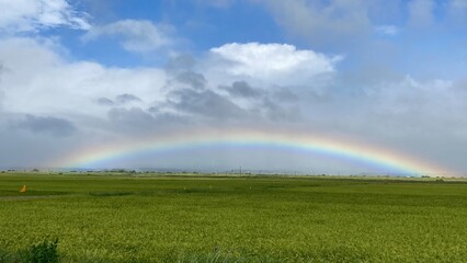 rainbow over field
