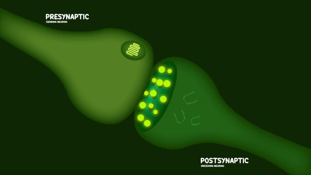 Glowing green effect of CBD on the endocannabinoid system and brain using visual aids 3D animation with 4k resolution