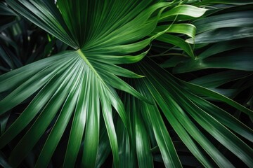 Fototapeta premium A fresh background image showcasing the vivid green leaves