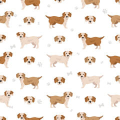Bully Basset seamless pattern. Bulldog Basset Hound mix. Different coat colors set