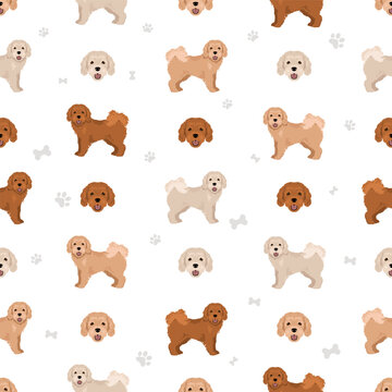 Cavapoo mix breed seamless pattern