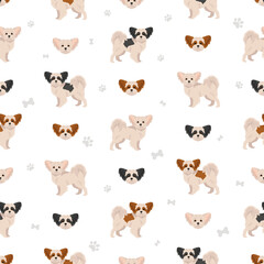 Mi-Ki dog seamless pattern. All coat colors set.  All dog breeds characteristics infographic