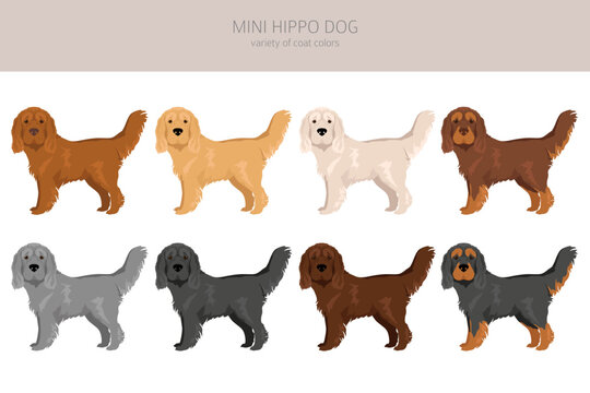 Mini Hippo clipart. Shar Pei - Cocker Spaniel mix. Different coat colors se
