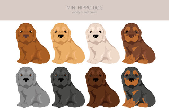 Mini Hippo clipart. Shar Pei - Cocker Spaniel mix. Different coat colors se