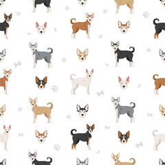 Pitsky seamless pattern. Pit bull terrier Siberian Husky mix. Different coat colors set