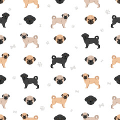 Pugapoo seamless pattern. Pug Poodle mix. Different coat colors set