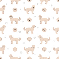 Obraz premium Sammypoo seamless pattern. Samoyed dog Poodle mix. Different coat colors set