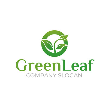 Green leaf logo, o letter green logo, Green seed logo vector 