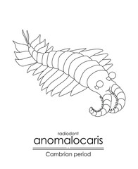 Anomalocaris, a Cambrian period creature, black and white line art illustration. Ideal for both coloring and educational purposes