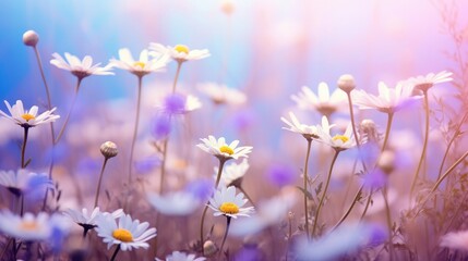 In the serene morning mist, a picturesque landscape unfolds, adorned with delicate wildflowers like chamomile and purple wild peas. A butterfly flits about, adding a touch of enchantment to the scene
