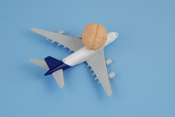 Brain drain concept. Human brain on airplane model on blue background. 