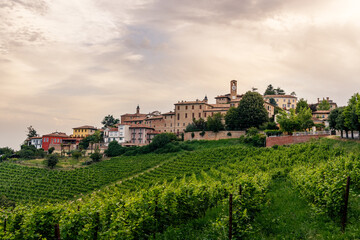 Fototapeta na wymiar Sunrise over a wineyard at Neive in Piedmonte Italy