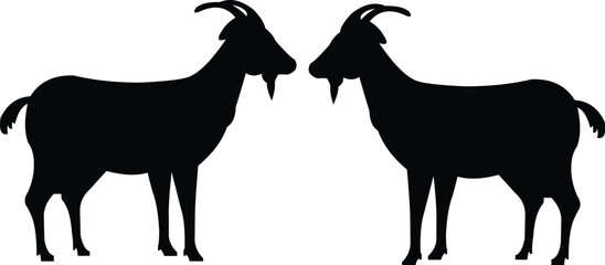 Goats vector illustration