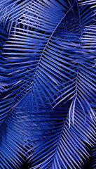 Blue palm leaves in a dark jungle setting, capturing the mysterious allure of nature