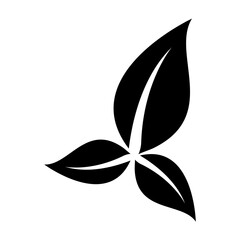 illustration of a leaf