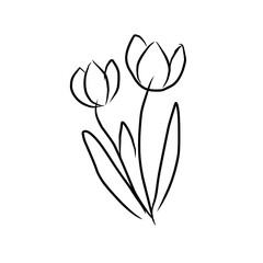 luxury flowers and logo © Wipu