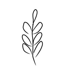 luxury flowers and logo © Wipu