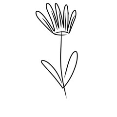 luxury flowers and logo © Wipu