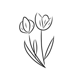 luxury flowers and logo © Wipu