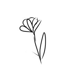 luxury flowers and logo © Wipu