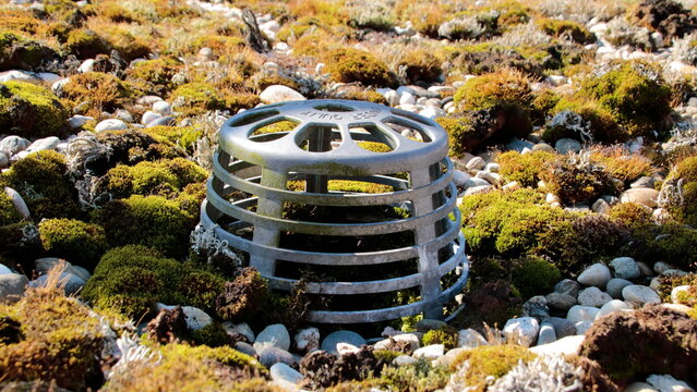 Wusideday Freischneiderschutz - Schutzschild Gegen Unkraut & Schmutz