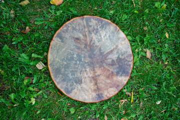 A shaman's tambourine made of genuine leather lies on the green grass.